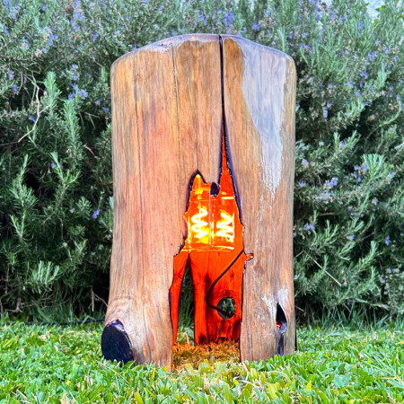 Wood Lamp